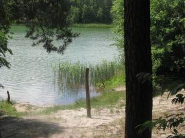 Фото номера Дом с 1 спальней Дома для отпуска Domek w lesie Puszcza Zielonka г. Kiszkowo 14